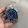 Omega Seamaster Diver 300M